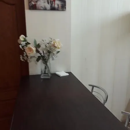 Kvartiry V Centre Goroda Apartment *